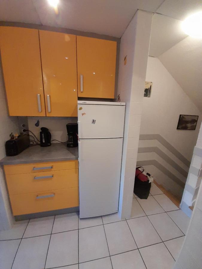 Apartament Les Lauzes Saint-Martin-de-Belleville Zewnętrze zdjęcie
