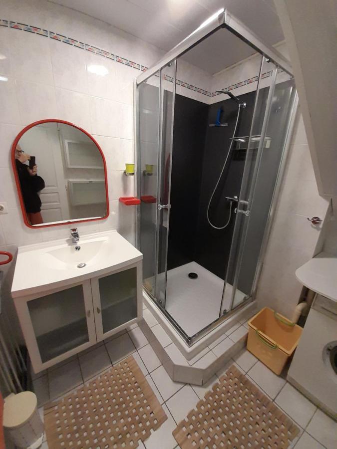 Apartament Les Lauzes Saint-Martin-de-Belleville Zewnętrze zdjęcie